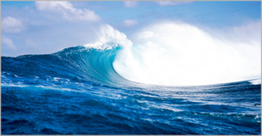 �й���7790�ط�����(�ɷ�)���޹�˾-�ٷ���վ